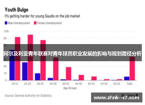 阿尔及利亚青年联赛对青年球员职业发展的影响与规划路径分析