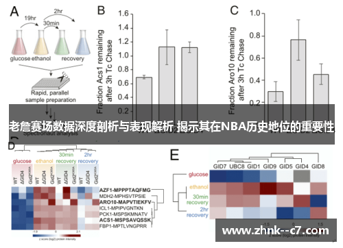 老詹赛场数据深度剖析与表现解析 揭示其在NBA历史地位的重要性