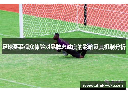 足球赛事观众体验对品牌忠诚度的影响及其机制分析